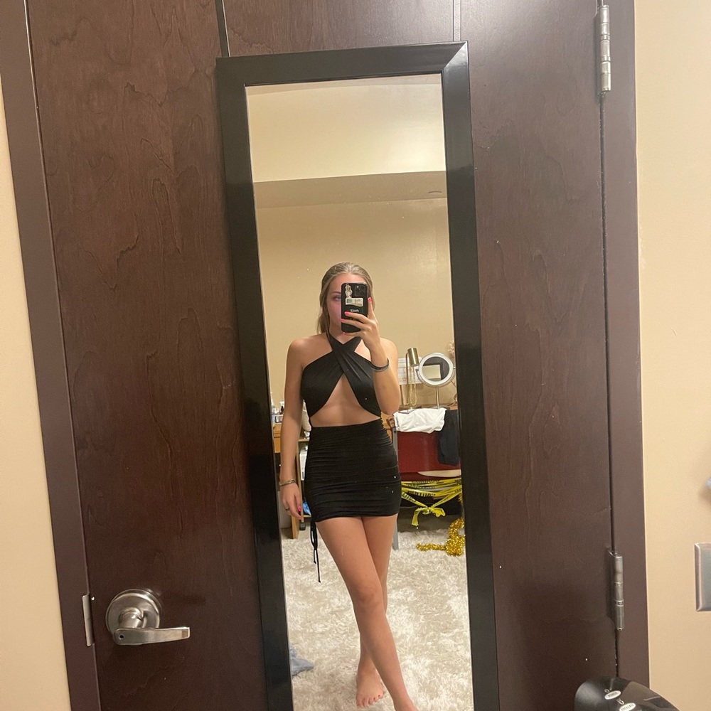 NWOT Windsor Mini Dress